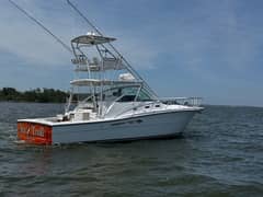 2006 Rampage 38 Express "Sea Troll" photo 3