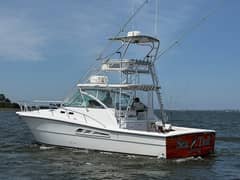 2006 Rampage 38 Express "Sea Troll" photo 5