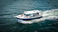 2019 Newton 36' Dive Special "BIG BLUE" photo 8
