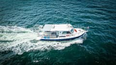2019 Newton 36' Dive Special "BIG BLUE" photo 2