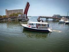 2019 Newton 36' Dive Special "BIG BLUE" photo 3