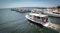 2019 Newton 36' Dive Special "BIG BLUE" photo 5