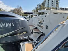 2018 Grady-White 330 Express "Rising Sun" photo 8