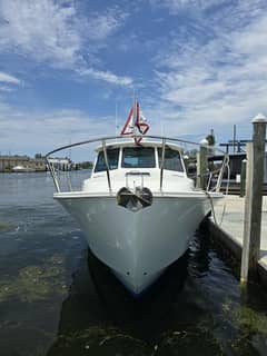 2021 Back Cove 390 "AMERICAN GIRL" photo 5