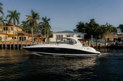 2008 Sea Ray 44 Sundancer "Le French Kiss" photo 3