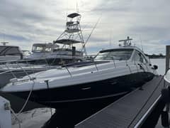 2006 Sea Ray 48 Sundancer "Turn The Page" photo 5
