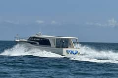 2019 Greenline 40 Hybrid "Green Eyed Lady" photo 1