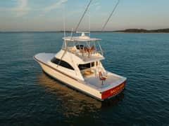 2023 Viking 54 Convertible "SALTY DOG" photo 3