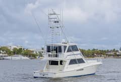 1995 Viking 58 Convertible "Sécone" photo 3