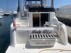 2007 Meridian 459 Motoryacht "Lady Di" photo 6
