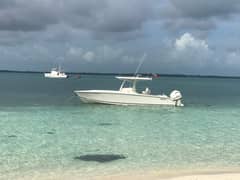 2018 Jupiter 30 HFS photo 3