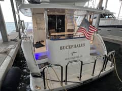 2012 Hampton "Bucephalus" photo 4