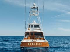 2016 Merritt 86' Enclosed Flybridge "BREE" photo 6