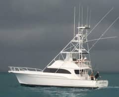 1990 Sunny Briggs Flybridge Sportfish "LOW BIDDER X" photo 2
