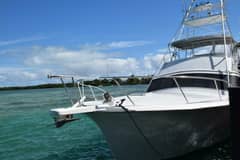 1990 Sunny Briggs Flybridge Sportfish "LOW BIDDER X" photo 4