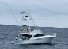 1990 Sunny Briggs Flybridge Sportfish "LOW BIDDER X" photo 1
