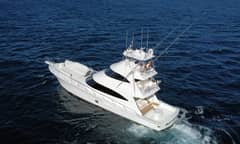 2019 Viking 80 Skybridge "PARTY OF FIVE" photo 2