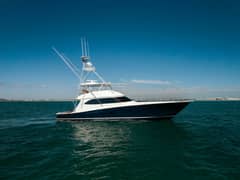 2013 Viking 76 Convertible "Reel Fire" photo 1