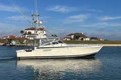 1993 Bertram 46 Moppie "Lady Dianna" photo 1