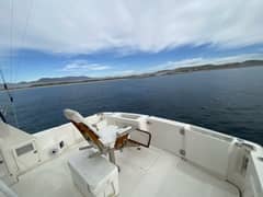 2001 Riviera 43 Flybridge "Warrior" photo 3