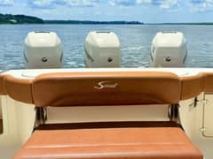 2020 Scout 380 LXF "Wild Horses" photo 8