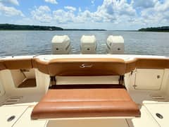 2020 Scout 380 LXF "Wild Horses" photo 9