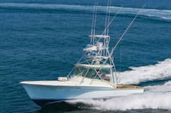 1985 Scarborough 41 Express "June Bug" photo 4
