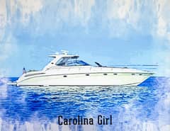 2002 Sea Ray 550 Sundancer "CAROLINA GIRL" photo 2