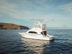 2006 Bertram 510 Convertible "Pecado" photo 5