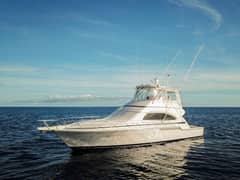 2006 Bertram 510 Convertible "Pecado" photo 4