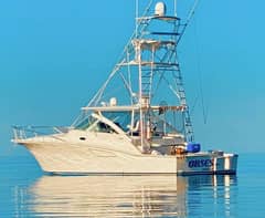2004 Cabo Express "Obsession" photo 2