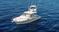 2005 Cabo 40 Express "Blue Legend" photo 9