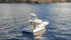 2005 Cabo 40 Express "Blue Legend" photo 5