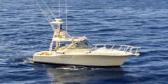 2005 Cabo 40 Express "Blue Legend" photo 4