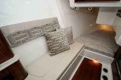 2023 Pursuit DC 365 Dual Console "Silver Lining" photo 5