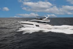 2017 Sea Ray 510 FLYBRIDGE photo 9
