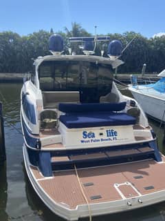2011 Regal 46 Sport Coupe "Sea Life" photo 2