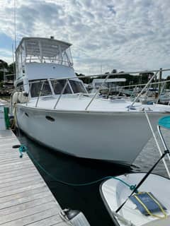 1996 Egg Harbor by Cayman "Tradition" photo 2