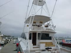 2006 Viking "Curious George" photo 1