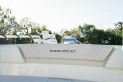 2024 World Cat 295 photo 1