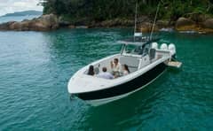 2025 Fishing Raptor 390 Solarium photo 1