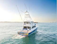 2003 Viking 65 EB "Killin Time" photo 3