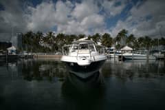 2002 Intrepid 377 Walkaround Cuddy "37 Intrepid 377 Walkaround / 2002" photo 3