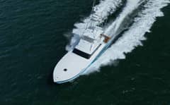 1991 Monterey "Wild Cat" photo 5