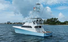 1991 Monterey "Wild Cat" photo 1