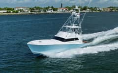 1991 Monterey "Wild Cat" photo 4