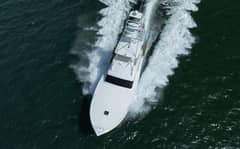1991 Monterey "Wild Cat" photo 6