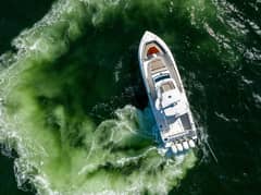 2021 Boston Whaler 420 Outrage "SMOKE SHOW" photo 9