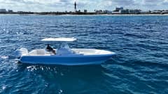 2019 Intrepid 327 photo 3