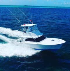 1984 Sunny Briggs Custom Carolina "Constellation" photo 1